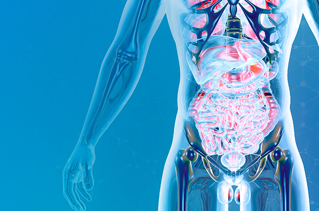 Физиопатология мужской эндокринной системы в разные возрастные периоды. Возрастные изменения и их anti-age коррекция. Сексопатология и синдром хронической усталости у мужчин. Проблемы мужской репродуктологии с точки зрения anti-age.
