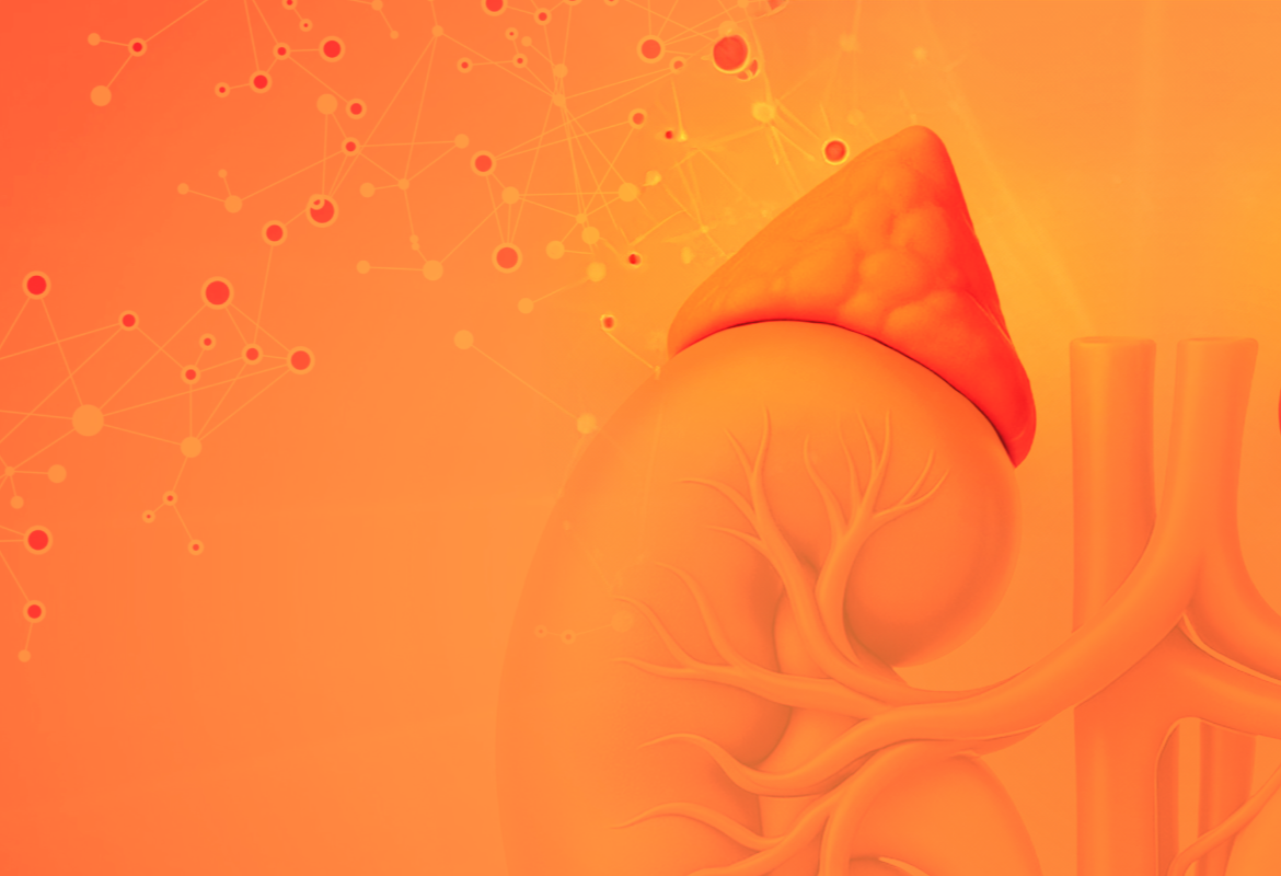 Физиопатология надпочечников и гипоталамо-гипофизарной системы (ось надпочечник-мозг). Истощение надпочечников и разные виды усталости организма. Стероидогенез и гомеостаз нейромедиаторов.  